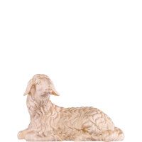 Resting sheep  - dolomite