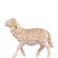 Grazing sheep for nativity  - dolomite