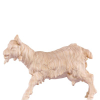 Nany goat for nativity - dolomite