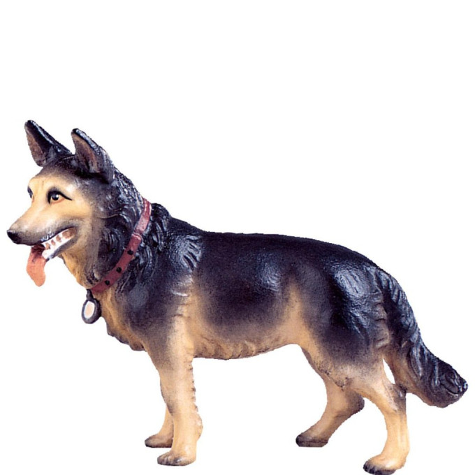 Sheepdog for nativity - dolomite