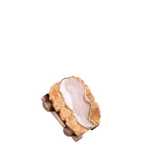 Kolíska pre betlehem - Rives