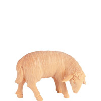 Pasúca ovečka pre betlehem - Rives