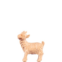 Malé kozliatko pre betlehem - Rives