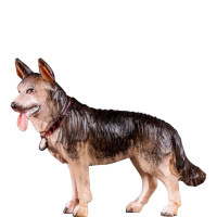 Ovčiarský pes pre betlehem - Rives