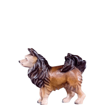 Pes Špic pre betlehem - Rives