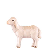 Ovečka pre betlehem - Artis