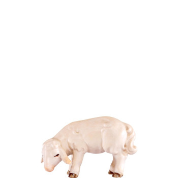 Pasúce jahniatko pre betlehem - Artis