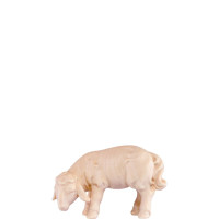 Pasúce jahniatko pre betlehem - Artis