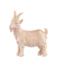 Kozliatko pre betlehem - Artis