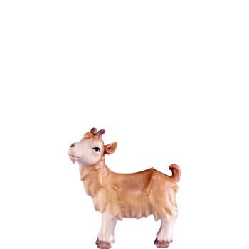 Malé kozliatko pre betlehem - Artis