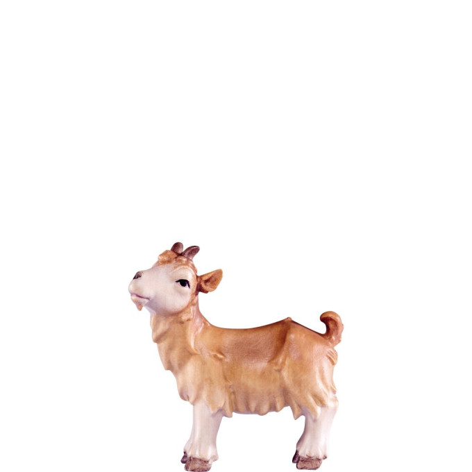 Malé kozliatko pre betlehem - Artis