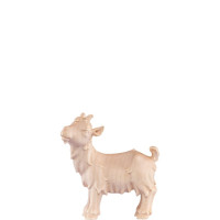 Malé kozliatko pre betlehem - Artis