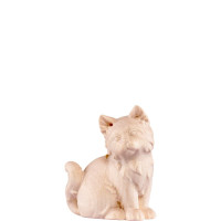 Hnedé mačiatko pre betlehem - Artis