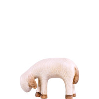 Pasúca ovečka pre betlehem - Fides