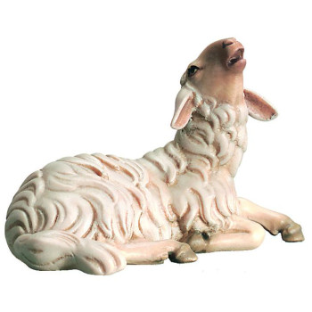 Bečiaca ovca pre betlehem - Kráľovský