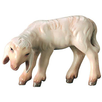 Pasúce sa jahňa pre betlehem - Kráľovský