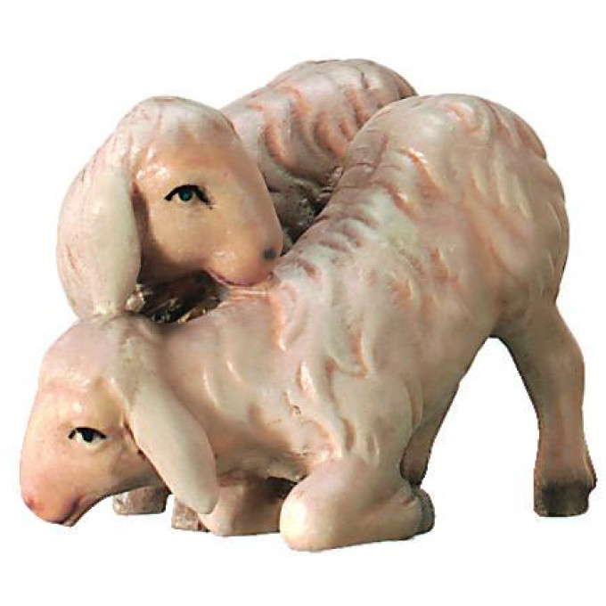 Pár jahniatok pre betlehem - Kráľovský