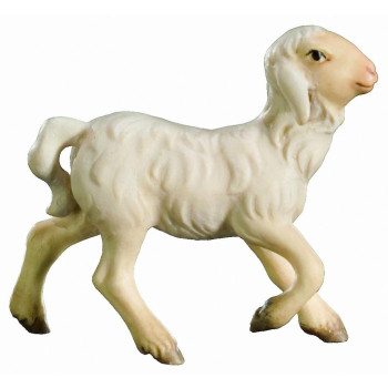 Bežiace jahňa pre betlehem - Kráľovský