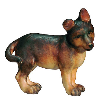 Šteniatko pre betlehem - Kráľovský