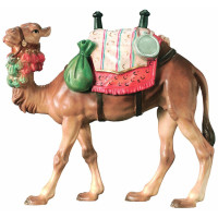 Ťava pre betlehem - Kráľovský