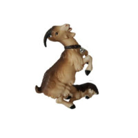 Koza pre betlehem - Kráľovský