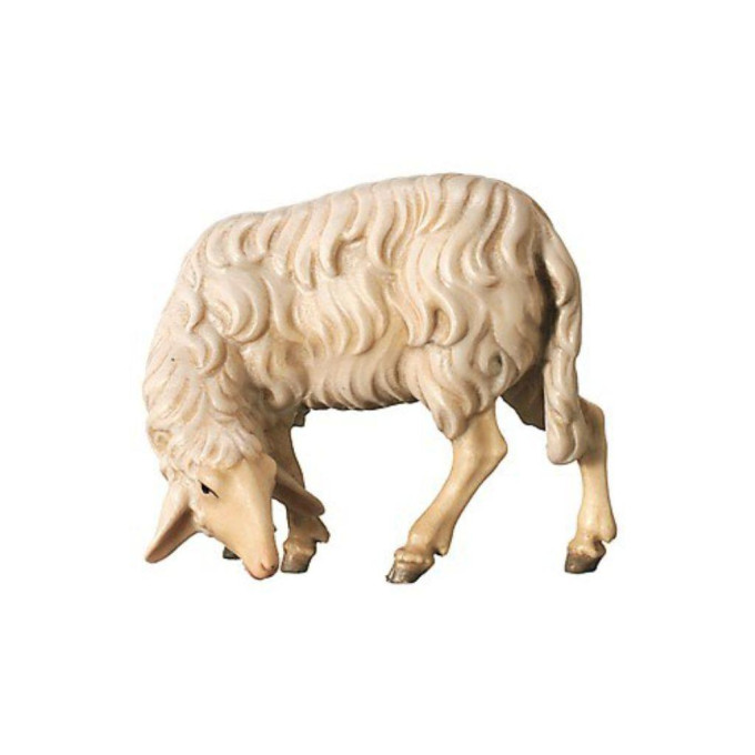 Pasúca sa ovca - Sedliacky