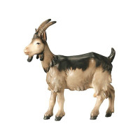Koza pre betlehem - Sedliacky