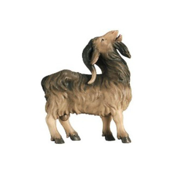 Cap pre betlehem - Sedliacky