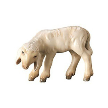 Pasúce sa jahňa - Sedliacky