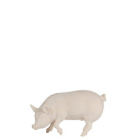 Prasiatko pre betlehem  - Vidiecky