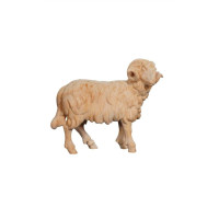 Ram looking right for Nativity scene - Alpine