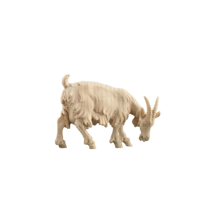 Goat grazing for Nativity scene - Alpine