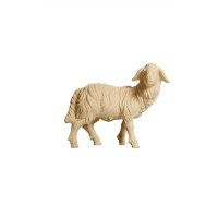 Sheep standing looking right for Nativity scene - Alpine