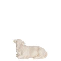 Býk ležiaci pre betlehem - Izrael