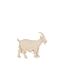 Stojaca koza - Izrael