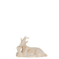 Ležiaca koza s kozliatkami - Izrael