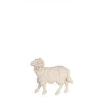 Baran pozerajúci vľavo do betlehema - Jeruzalem