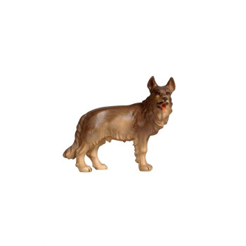 German shepherd for Nativity scene - Jerusalem