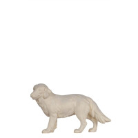 Shepherd dog for Nativity scene - Jerusalem