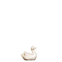 Duck swimming right for Nativity scene - Jerusalem