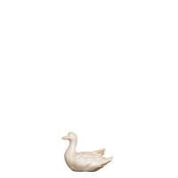 MA Duck swimming left for Nativity scene - Jerusalem