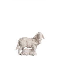 Ovečka a jahňa - Kostner